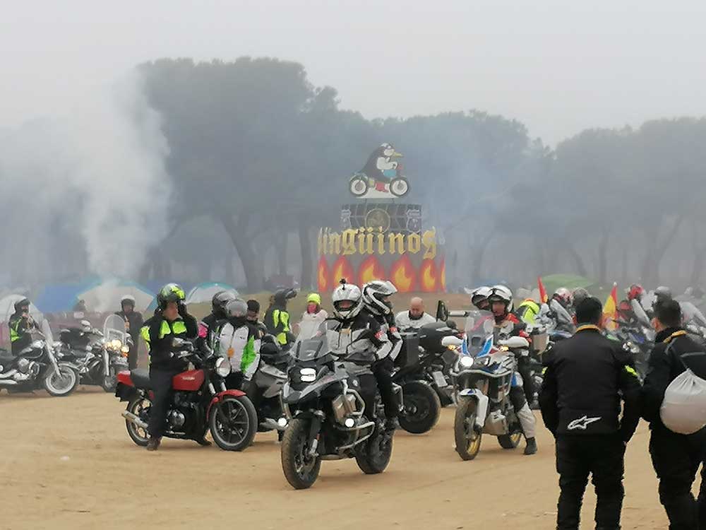 Pingüinos edición 39 (2020)